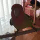 みのり