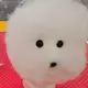 るる