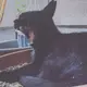 こみ