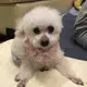 あんちゃんまる