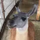 まいK