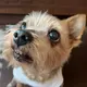 デラ