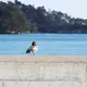 佐藤