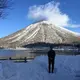 とっしー