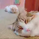 はるか