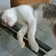 ゆりちゃん