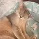 はるか