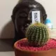 おなつ