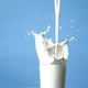 のぶながちゃん
