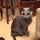 かん