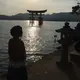 まゆみどん