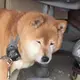 おみや