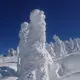 のす