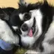 つーさん