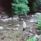 まぎう