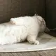 リタ