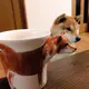 クッキー