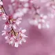 日向ぼっこ