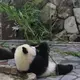 チョコミント主義