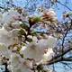 ❉ひなたぼっこ❉