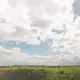 ますみ