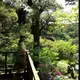 ゆきまる