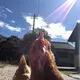 裕大