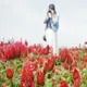 こまちゃん