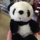 ぱんだ
