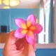 okinawarisa23