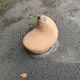 はな