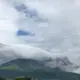 naogreen
