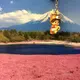 ぷるるん