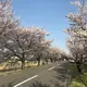 yukimi.