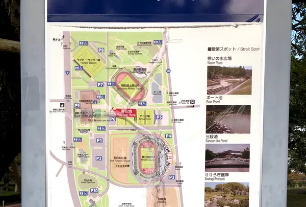 維新百年記念公園の写真・動画_image_399365