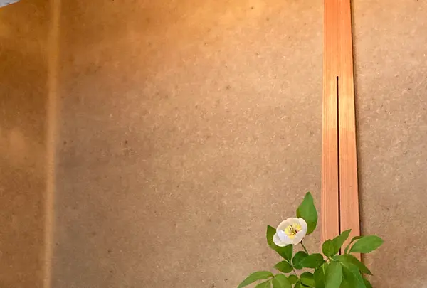 富山県水墨美術館の写真・動画_image_426006