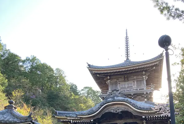 如意寺の写真・動画_image_427494