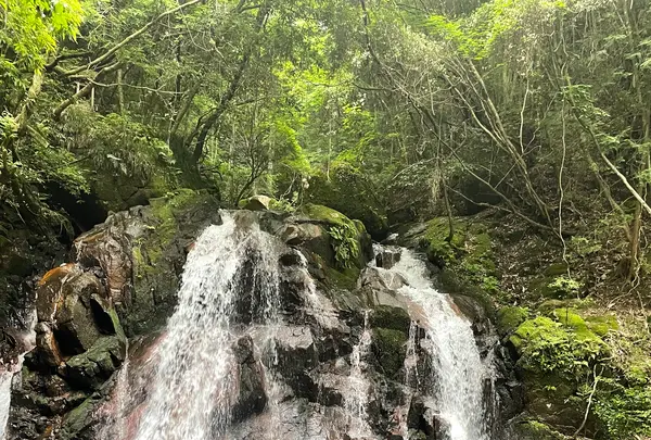 鶏鳴の滝の写真・動画_image_566481