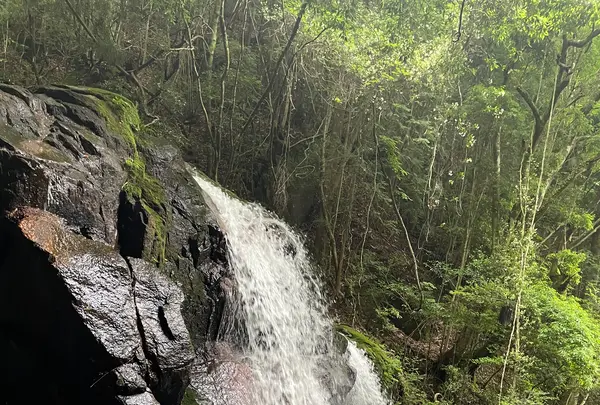 鶏鳴の滝の写真・動画_image_566482