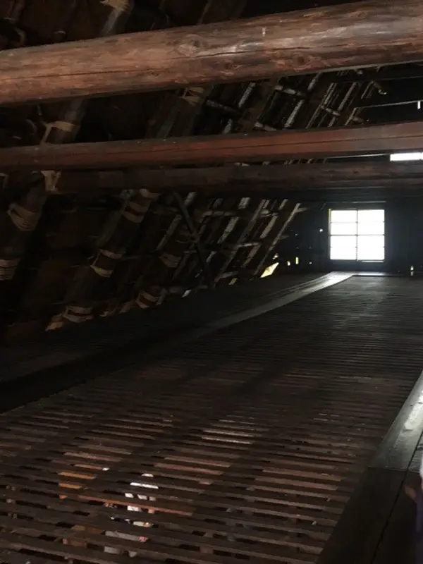 屋根裏にも行けちゃいます!