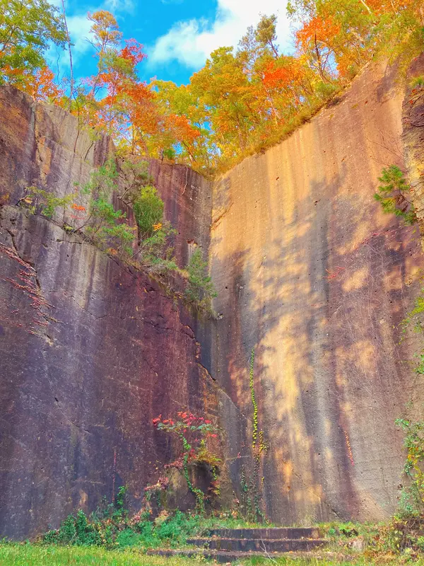 秋に撮った写真