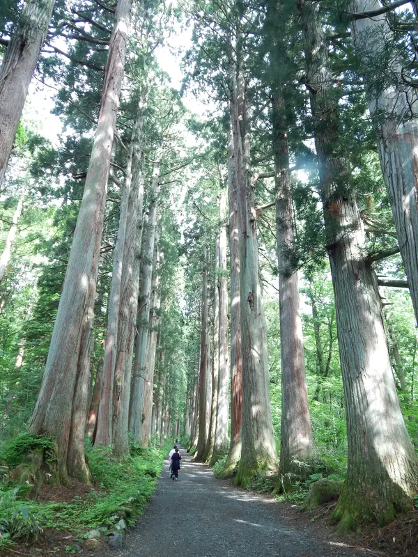 この景色が見たかった