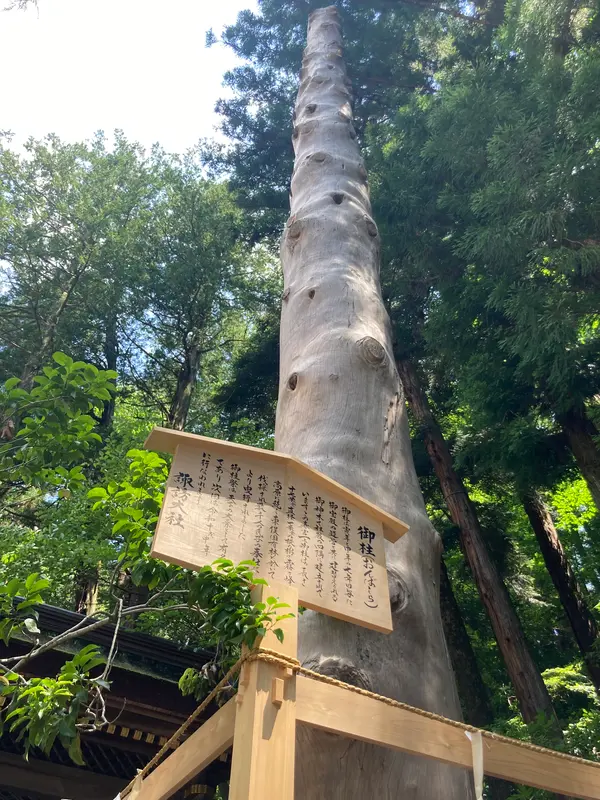 そびえる「春宮一之御柱」