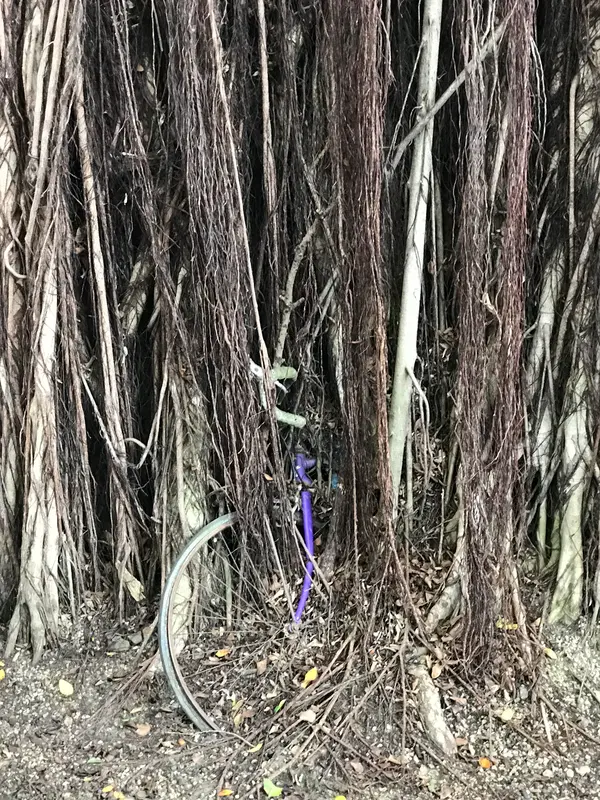 台中文学館
