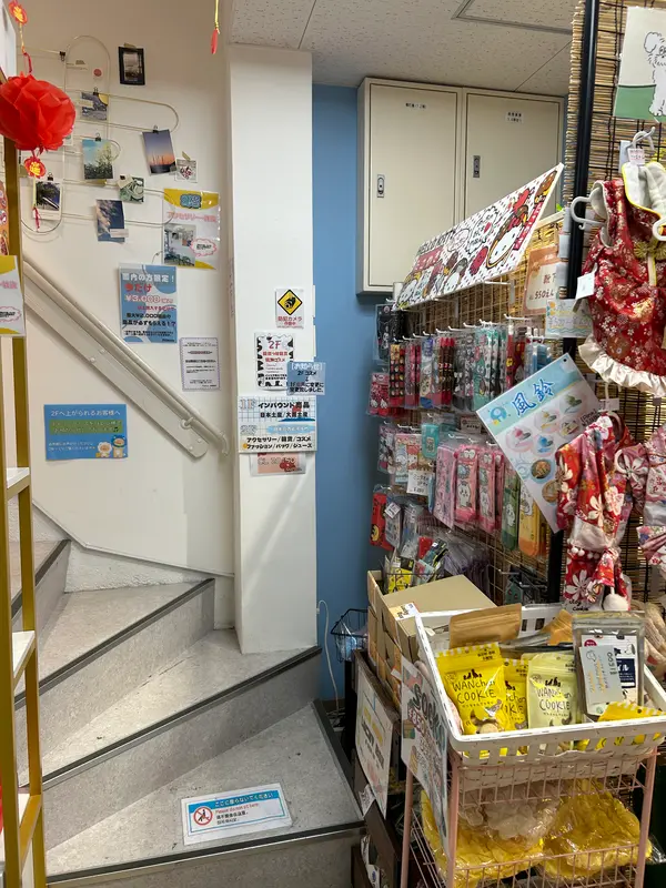 絶対見逃すな!!