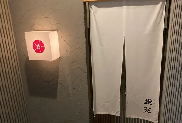 燈花の写真・動画_image_389972