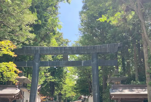 諏訪大社下社秋宮の写真・動画_image_542586