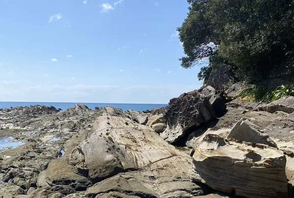 竜串海岸の写真・動画_image_1029130