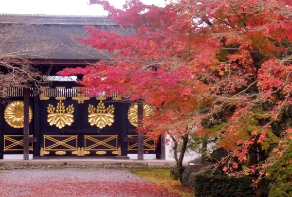 醍醐寺三宝院