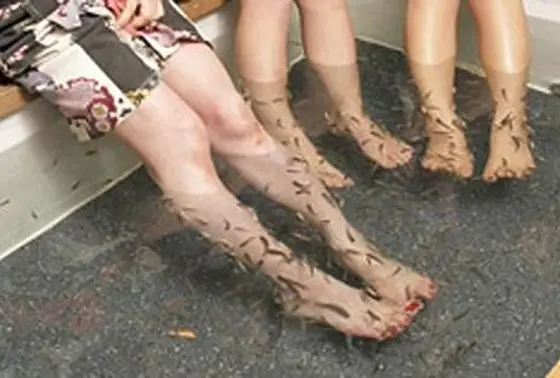 あなたは、もう体験した？